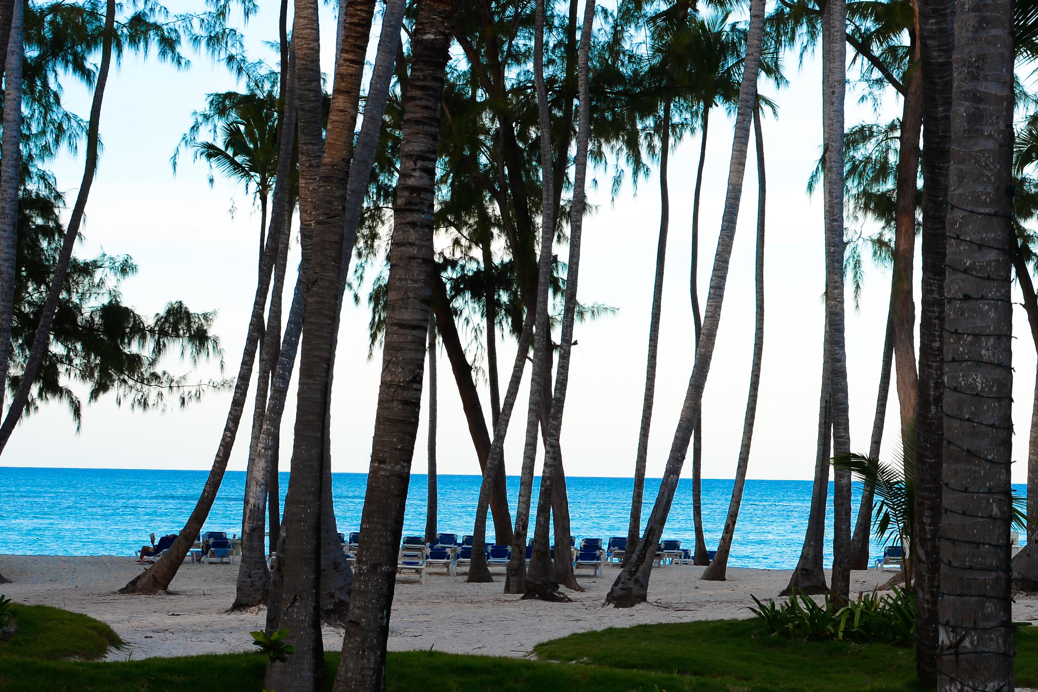 Vista Sol Punta Cana Eksteriør billede